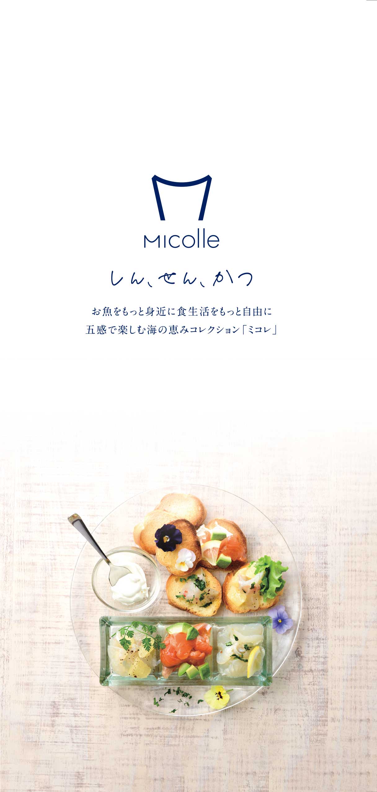 リーフレットデザイン