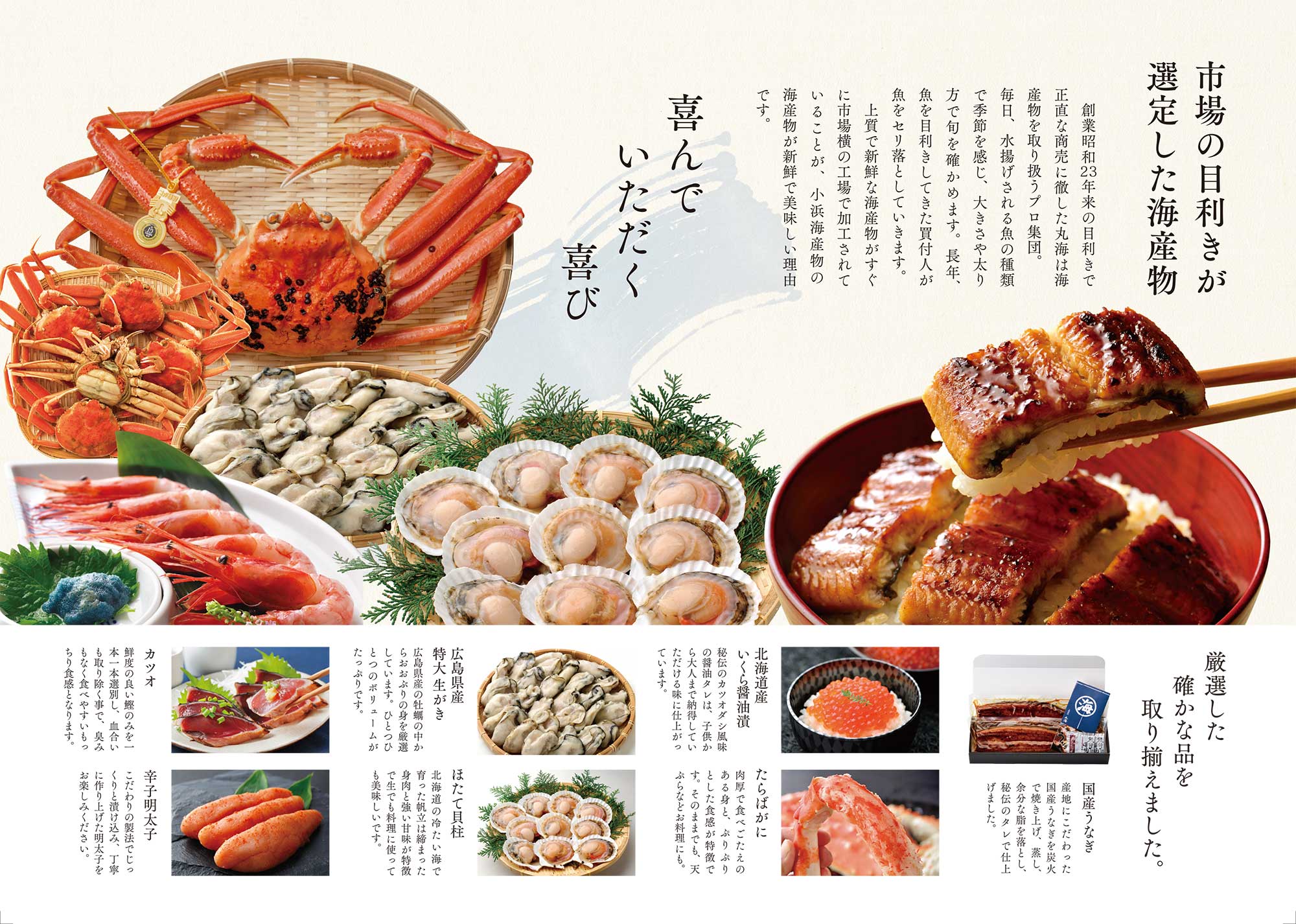 リーフレットデザイン